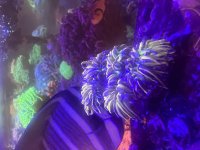 IMG_8445.jpeg