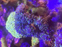 IMG_8446.jpeg