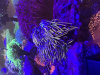 IMG_8456.jpeg