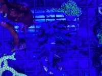 IMG_0090.jpeg