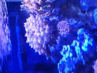20231113_093806.jpg