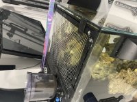 IMG_5170.jpeg