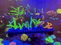 IMG_6200.jpeg