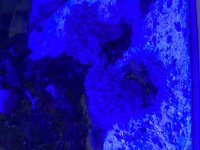 64AE0DF3-AC0E-40D0-A367-30114DD5A2C2.jpeg