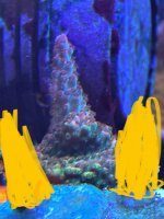 E1F697AF-ED52-4A4B-AEC8-A6EDDF7AD5BC.jpeg
