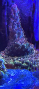 7CF457ED-9EB2-4641-AB57-3D4749865925.jpeg