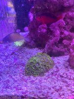 WhatsApp Image 2023-11-22 at 23.59.20_9a6a1901.jpg