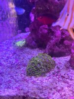 WhatsApp Image 2023-11-22 at 23.59.20_0bd469fc.jpg