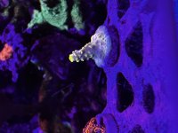 IMG_1407.jpeg