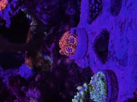IMG_1406.jpeg