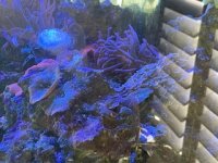 IMG_5373.jpeg