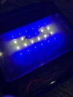 UPGRADED LIGHTINGH TO BIO CUBE.jpeg
