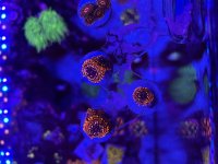 IMG_5365.jpeg