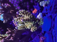 IMG_1583.jpeg