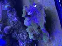 IMG_0687.jpeg