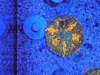 20231215_160821 (1).jpg