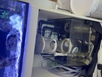 IMG_2085.jpeg
