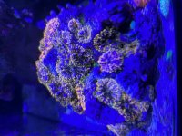 IMG_3419.jpeg