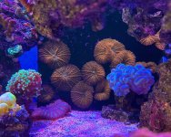 WhatsApp Image 2024-01-01 at 12.59.05_4044ad7a.jpg