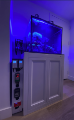 Screenshot 2024-01-02 at 12.50.57 PM.png