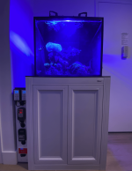 Screenshot 2024-01-02 at 12.50.43 PM.png