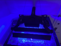 Screenshot 2024-01-02 at 12.51.28 PM.png