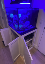 Screenshot 2024-01-02 at 12.51.54 PM.png