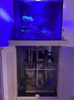 Screenshot 2024-01-02 at 12.51.46 PM.png