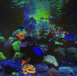 Screenshot 2024-01-02 at 1.38.39 PM.png