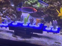 IMG_3189.jpeg