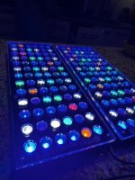 IMG_3690.jpeg