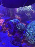 IMG_5789.jpeg