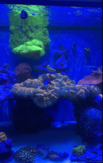 Screenshot 2024-01-19 at 9.13.59 AM.png