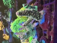 IMG_4963.jpeg