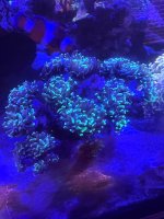 IMG_9179.jpeg