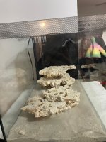 IMG_6007.jpeg