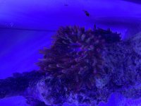 IMG_6121.jpeg