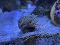 C51E0553-0D4B-4338-87FD-52753A561F67.jpeg