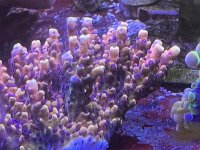 IMG_4403.jpeg