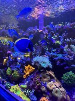 IMG_8521.jpeg