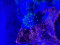 IMG_0460.jpeg