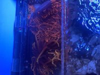 IMG_3971.jpeg