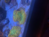 IMG_3975.jpeg
