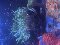 IMG_3972.jpeg