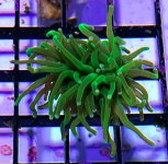 IMG_5525.jpg