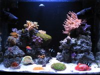 FTS1 copy.jpg