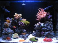 FTS2 copy.jpg