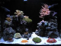FTS3 copy.jpg