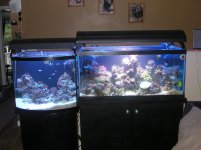 JUNE 17, 2008 010.jpg