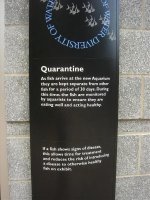 pgh zoo aquarium.jpg